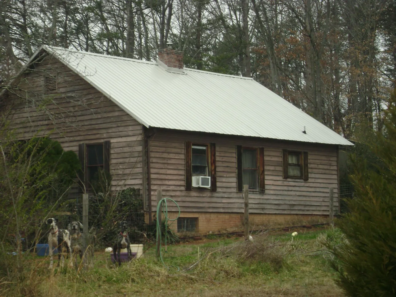White metal roof on an old wood sided farmhouse, from a Asphalt Shingle Roof Repair job in Patoka